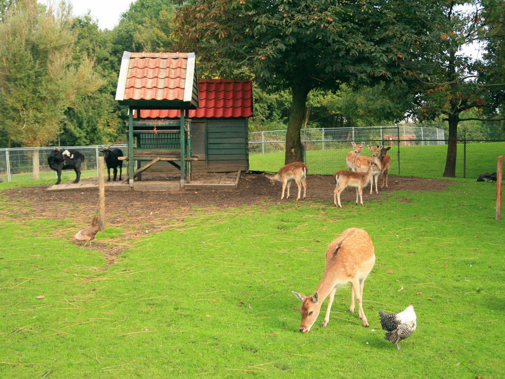 Villapark Weddermeer Екстериор снимка